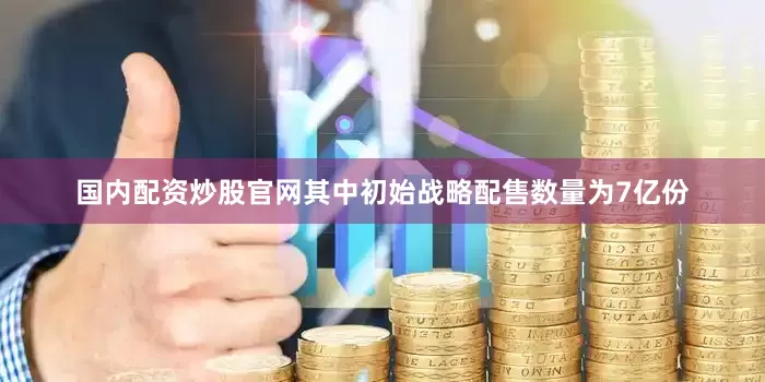 国内配资炒股官网其中初始战略配售数量为7亿份